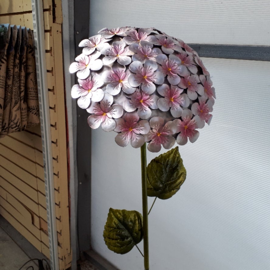 Stake Hydrangea 49